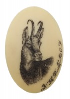 CAL13 Calotte Ivoire ou argent d'animaux Photo CAL13 Calotte Ivoire ou argent d'animaux