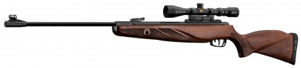 Carabine Gamo Grizzly 1250 Cal 5.5 45 joules + lunette 3-9x40 WR