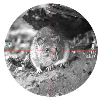 Photo G1650PA-3.jpg PACK GAMO Arrow PCP + Lunette Pard vision nocturne + Torche IR