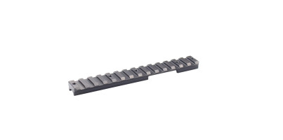 Rail Picatinny monobloc pour rail prismatique 11 mm