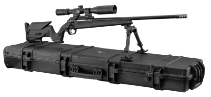 Pack carabine MONZA 308; lunette Microdot