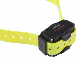 NUM335-2 Collier d'éducation Canicom seul Photo NUM335-2 Collier d'éducation Canicom seul