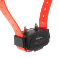 NUM340-1 Collier d'éducation Canicom seul Photo NUM340-1 Collier d'éducation Canicom seul