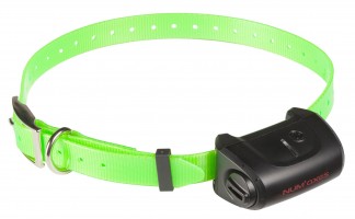 NUM380 Collier supplémentaire Canicom 5 Photo NUM380 Collier supplémentaire Canicom 5