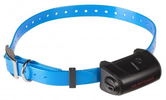 NUM385-1 Collier supplémentaire Canicom 5 Photo NUM385-1 Collier supplémentaire Canicom 5