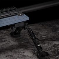 Photo VI13208-2-07.jpg Victrix Carabine Throne MK2