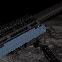 Photo VI13208-2-25.jpg Victrix Carabine Throne MK2