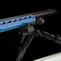 Photo VI1902-12.jpg Victrix carabine Motion