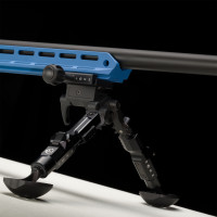 Photo VI1902-14.jpg Victrix carabine Motion