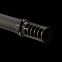 Photo VI1902-22.jpg Victrix carabine Motion