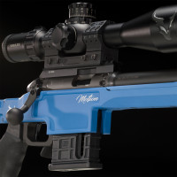 Photo VI1922-06.jpg Motion 22 lr 1/16