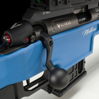 Photo VI1922-09.jpg Motion 22 lr 1/16