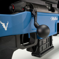 Photo VI1922-10.jpg Motion 22 lr 1/16