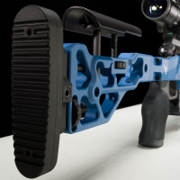 Photo VI1922-14.jpg Motion 22 lr 1/16