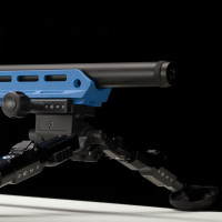 Photo VI1922-16.jpg Motion 22 lr 1/16