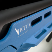 Photo VI1922-27.jpg Motion 22 lr 1/16