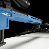 Photo VI1922-29.jpg Motion 22 lr 1/16