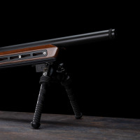 Photo VI2122-06.jpg Victrix Carabine Lynx .22LR