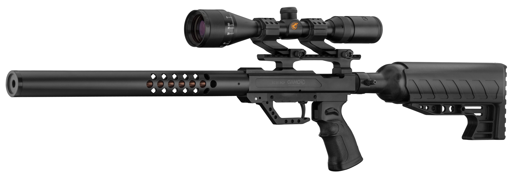 Carabine Gamo BIG BORE TC-35 - Cal. 35 - 180 joules - Simac